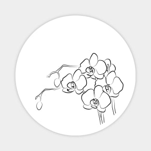 Orchid Line Art Drawing Magnet